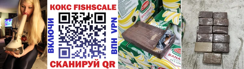Купить закладки  Ершов  КОКАИН FishScale 