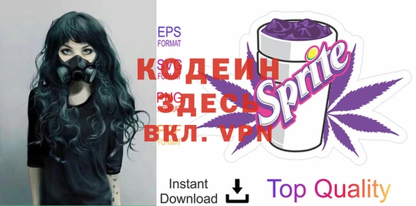 прущие крисы Каменка