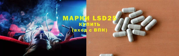 ECSTASY Инсар