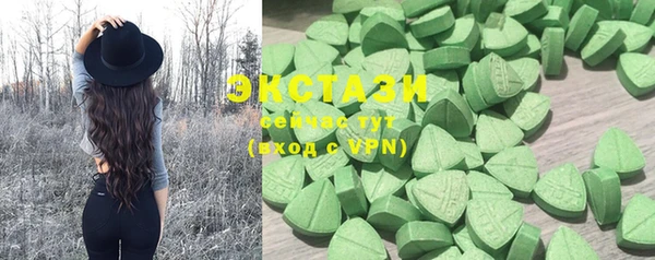 ECSTASY Инсар